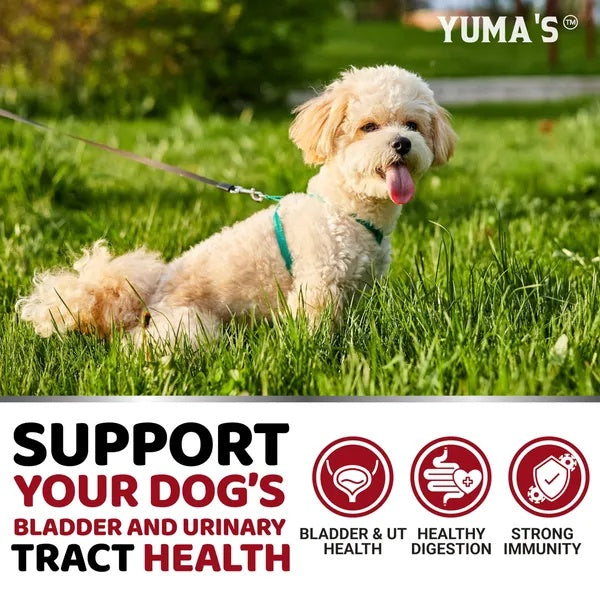 Yuma’s UTI Support Chews for Dogs – 170 Soft Treats