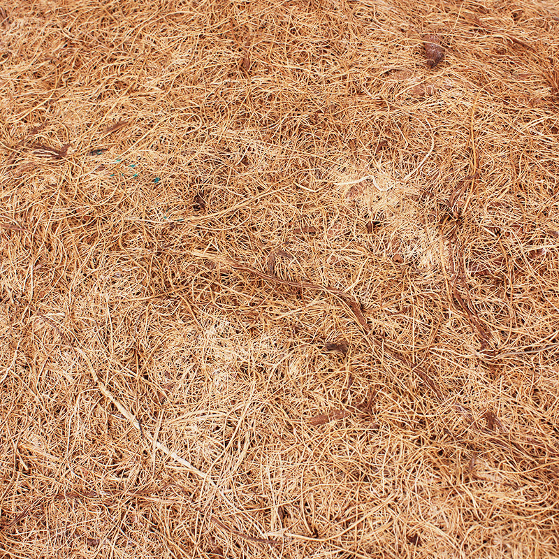 Nomo Reptile Supplies Coconut Palm Mat material Reptile Tortoise Leopard Tortoise Star Tortoise Lizard Dust-free Reptile Box Landscaping