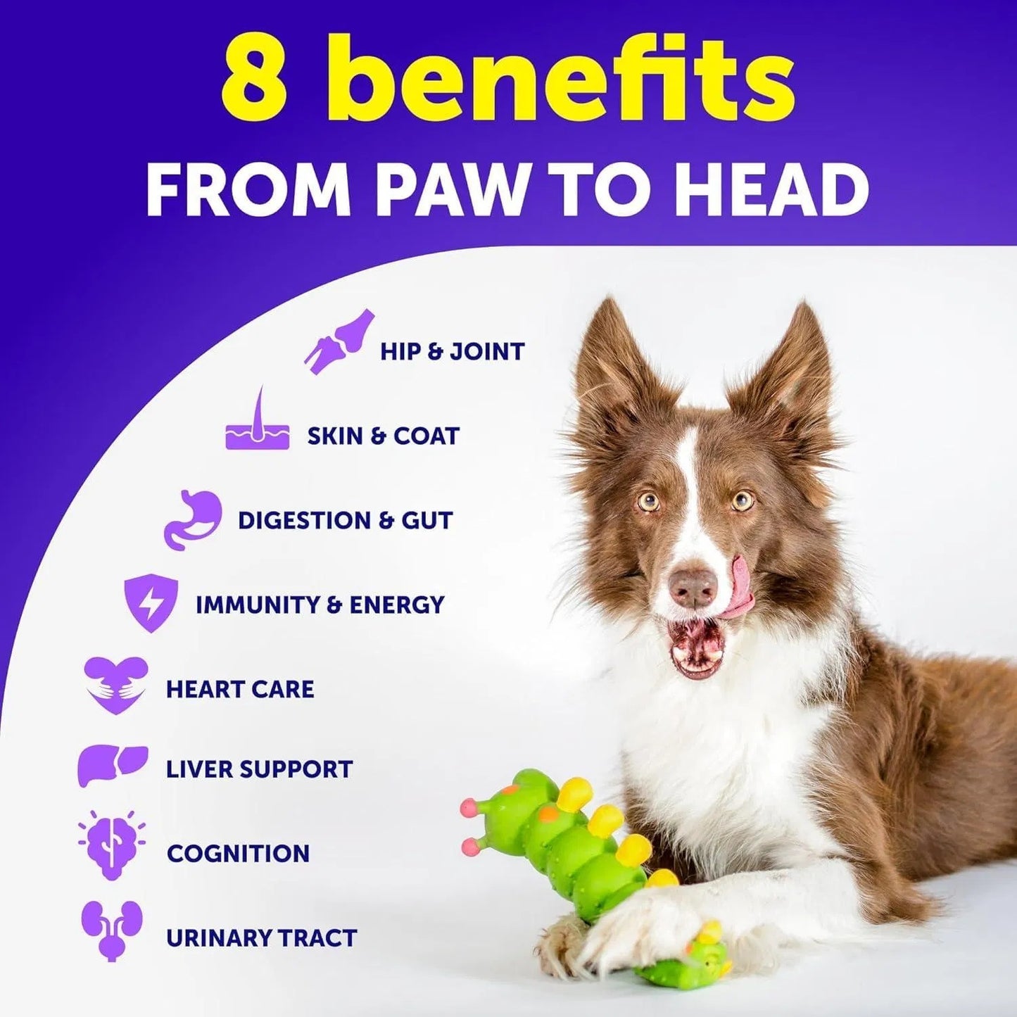 Artullano 20-in-1 Multivitamin Chews for Dogs – 120 Tablets
