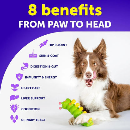 Artullano 20-in-1 Multivitamin Chews for Dogs – 120 Tablets