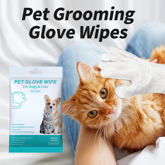 Pet Grooming Essentials Kit – Disposable Cleaning Gloves, Tooth, Ear & Eye Wipes, and Foot Cleaning Foam for Cats & Dogs