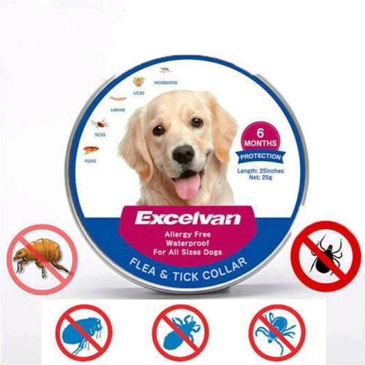 Waterproof Adjustable Flea & Tick Collar – 70cm Gray Plastic