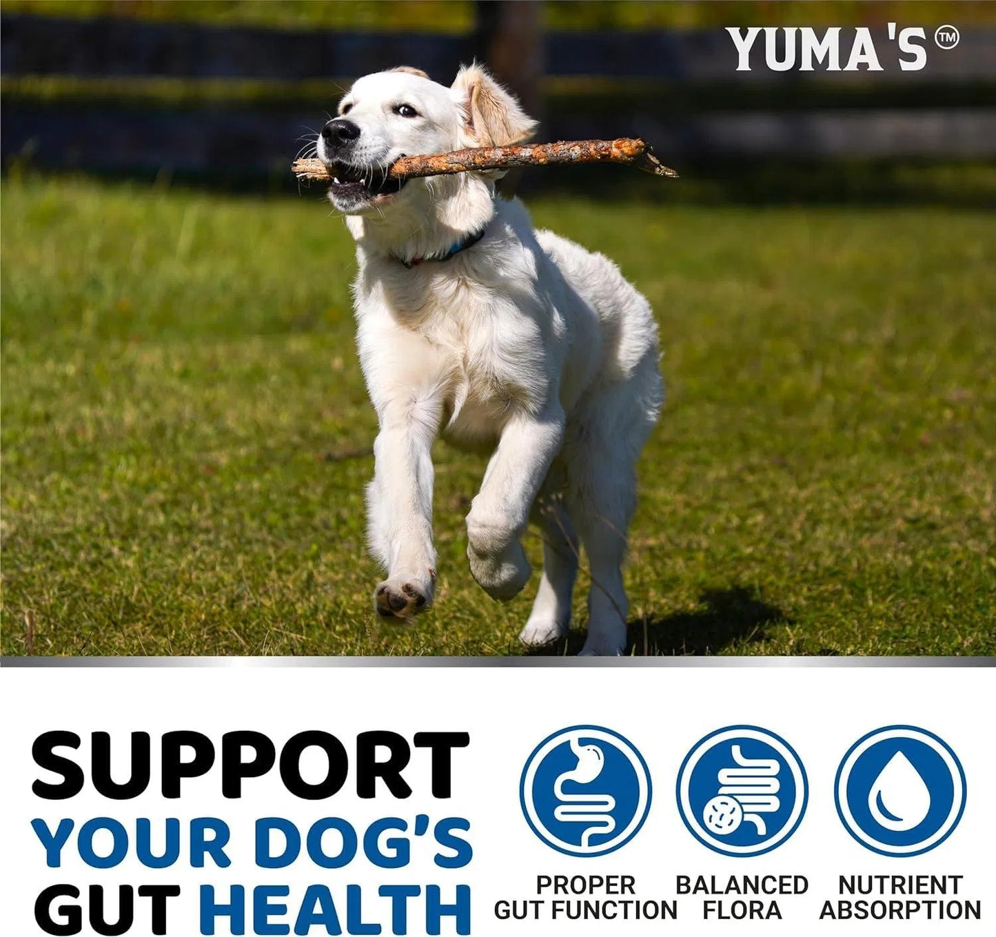 Yuma’s Probiotic & Enzyme Chews for Dogs – 2 Pack (340 Treats)