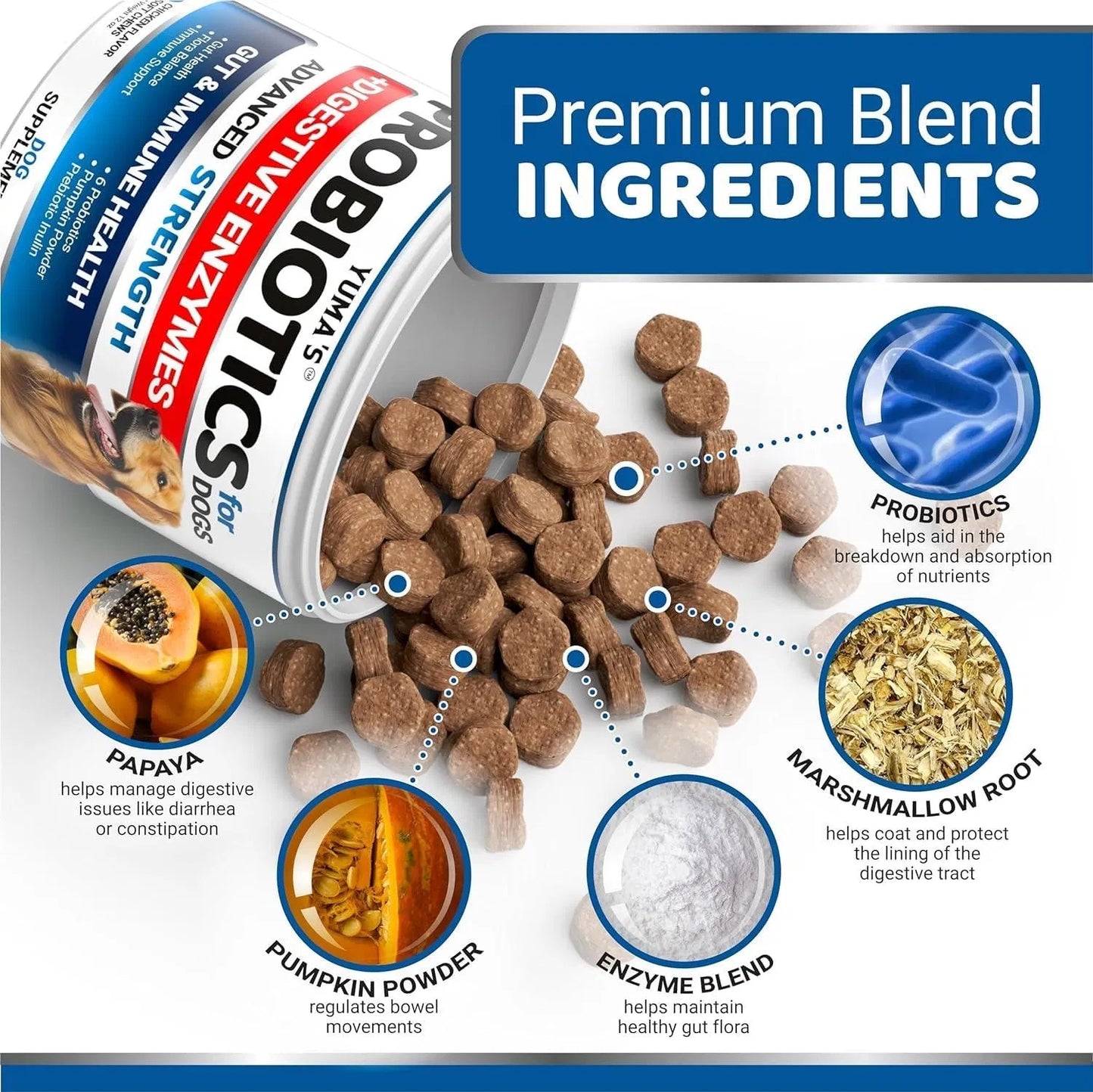 Yuma’s Probiotic & Enzyme Chews for Dogs – 2 Pack (340 Treats)